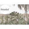 Ancient Columns and Tropical Trees Landscape Wallpaper Design