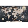 Balloons and winged planes flying over the galaxy background World Map and Sweet animals Digital File