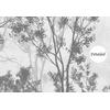 Black - White Trees and Leaves Wallpaper Design Layered File