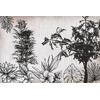 Black white Tropical trees wallpaper design  Digital File