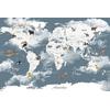 Blue background cute animals world map Digital file