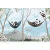 Cute pandas lying in hammocks between trees  Digital File