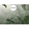 Dark Green Tropical Forest Jungle wallpaper  design , For Digital Print. Digital File.