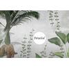 Egzotic Tropical Forest Jungle wallpaper  design , For Digital Print. Digital File.