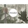Egzotic Tropical Forest wallpaper  design , For Digital Print. Digital File.