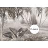 Egzotic Tropical Trees wallpaper  design , For Digital Print. Digital File.