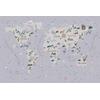 Gray Children's room Educational World Map Digital File