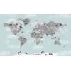 Gray map on a soft blue background World Map and Sweet animals Digital File