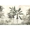 Green Banana Tree Leaves Wallpaper Design Layered File
