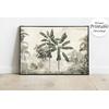 Green Banana Tree Leaves Wallpaper Design Layered File