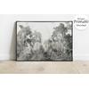 Tropical Forest wallpaper  design , For Digital Print. Digital File.